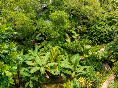 Cashew Nut Grove Chalets