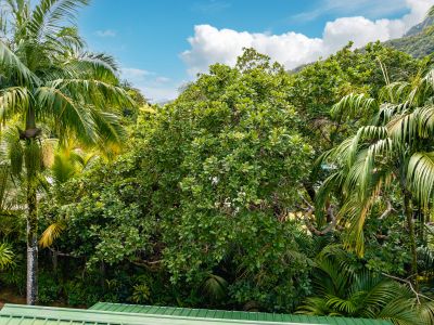 Cashew Nut Grove Chalets