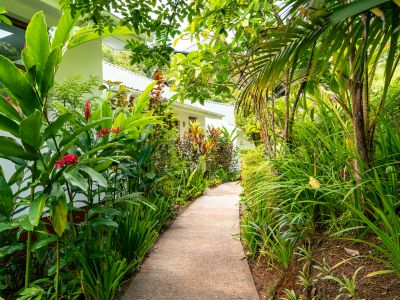 Cashew Nut Grove Chalets