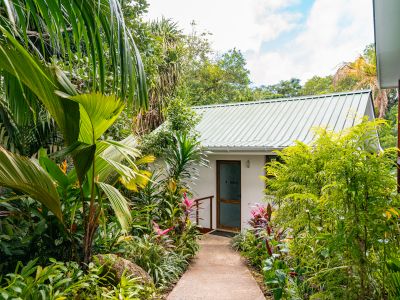 Cashew Nut Grove Chalets