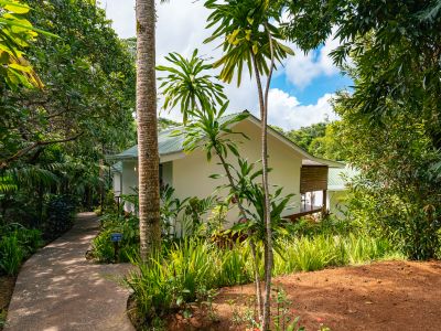 Cashew Nut Grove Chalets