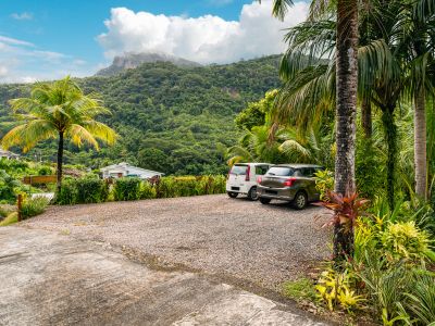 Cashew Nut Grove Chalets