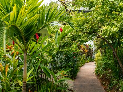 Cashew Nut Grove Chalets