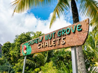 Cashew Nut Grove Chalets