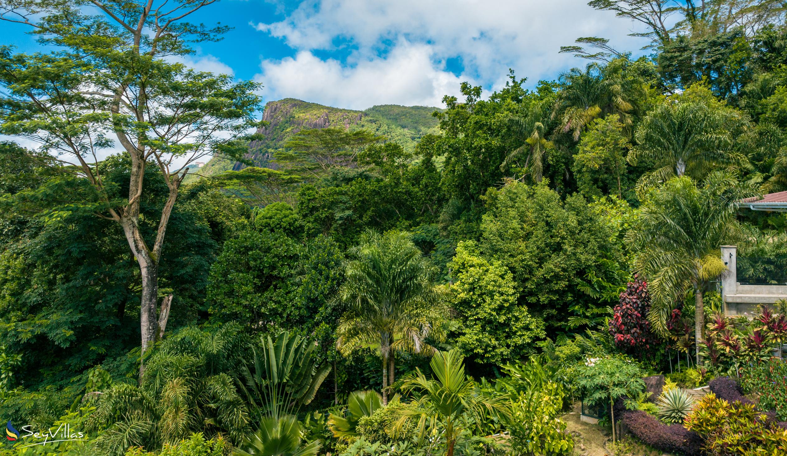 Photo 9: Villa Gabriella - Outdoor area - Mahé (Seychelles)