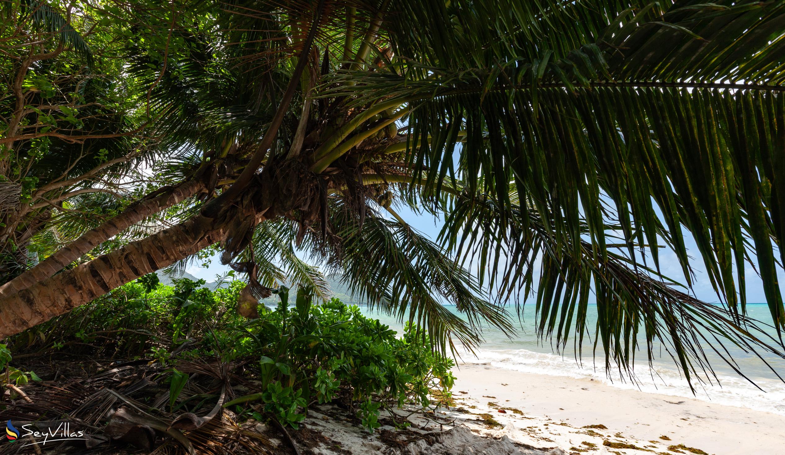 Photo 66: Bijoutier Apartments - Location - Praslin (Seychelles)