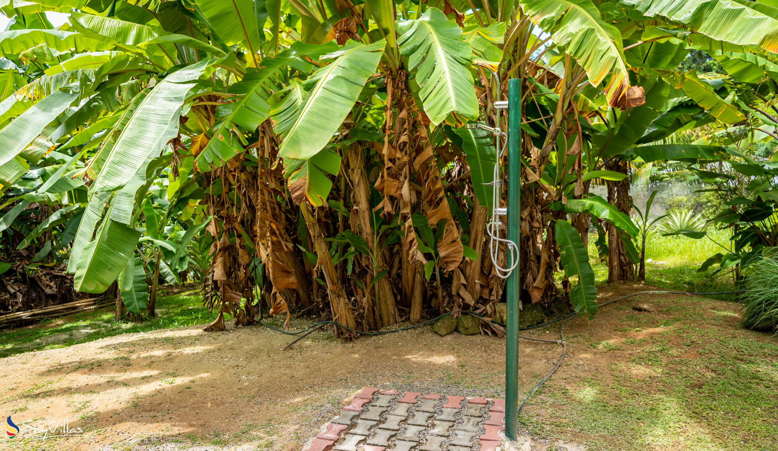 Foto 7: Reve Tropical Chambres d'Hotes - Aussenbereich - Mahé (Seychellen)