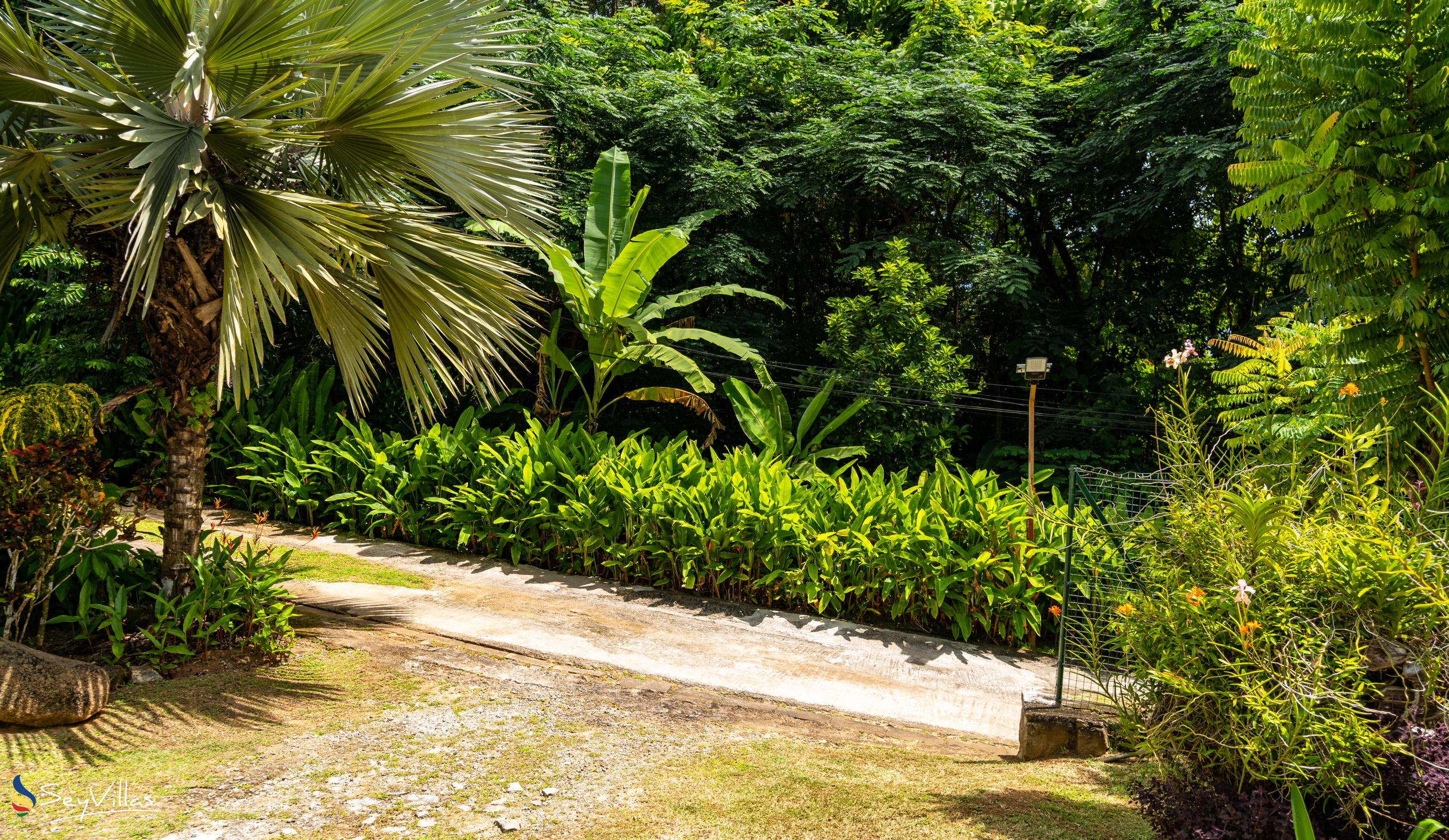 Photo 11: Reve Tropical Chambres d'Hotes - Outdoor area - Mahé (Seychelles)