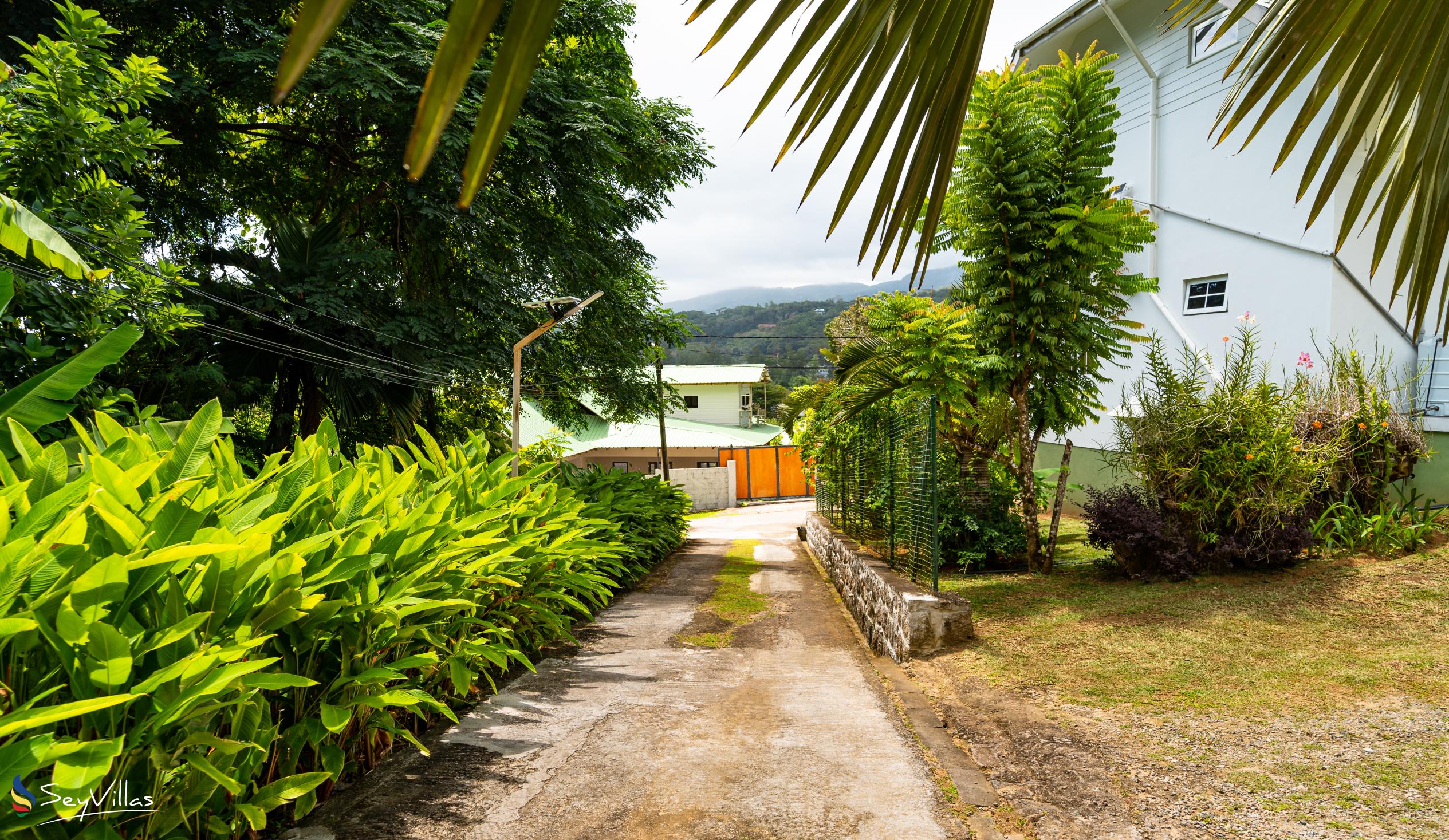 Photo 12: Reve Tropical Chambres d'Hotes - Outdoor area - Mahé (Seychelles)