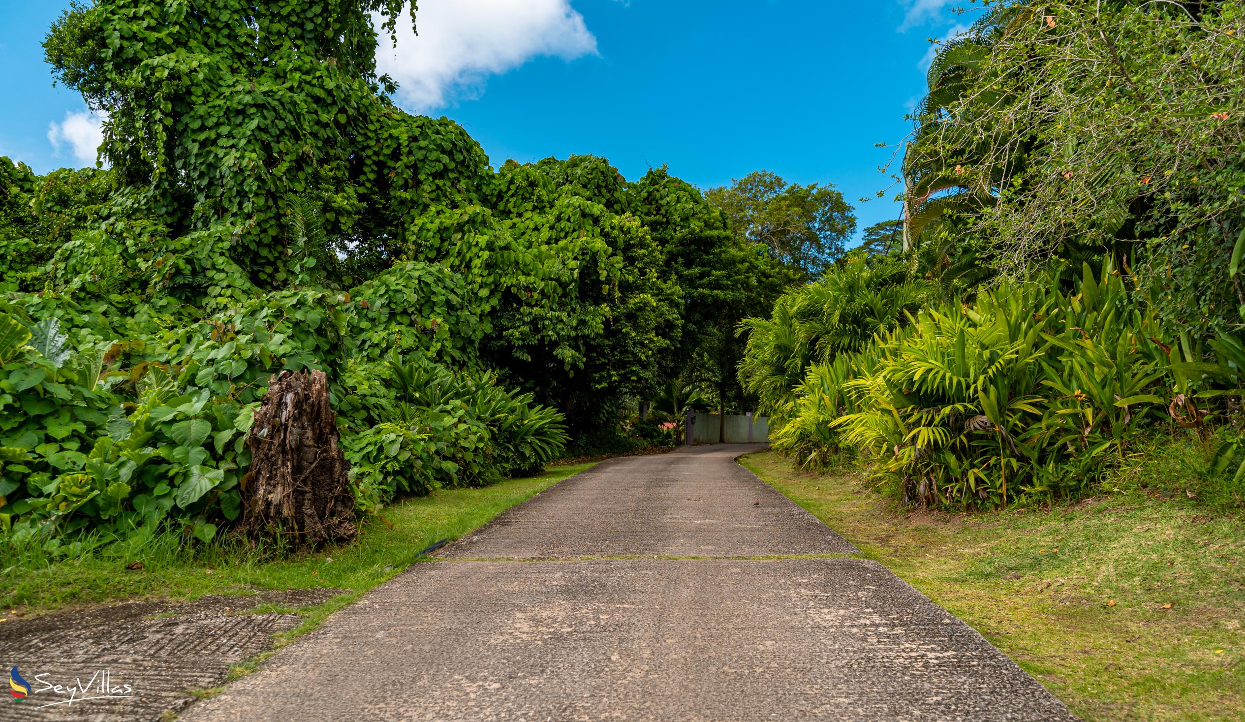 Photo 14: Reve Tropical Chambres d'Hotes - Location - Mahé (Seychelles)