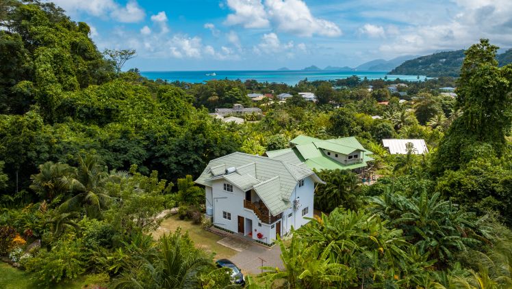 Reve Tropical Chambres d'Hotes