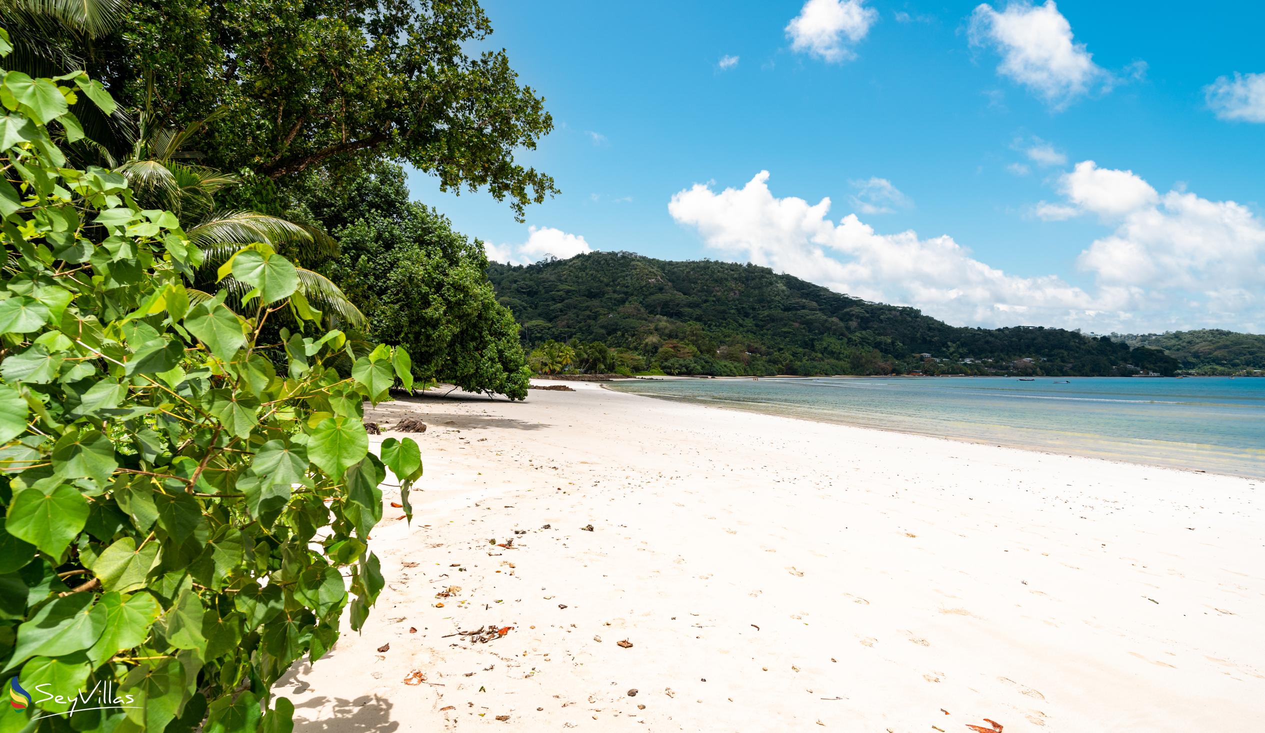 Photo 19: Seaside Self Catering - Location - Mahé (Seychelles)