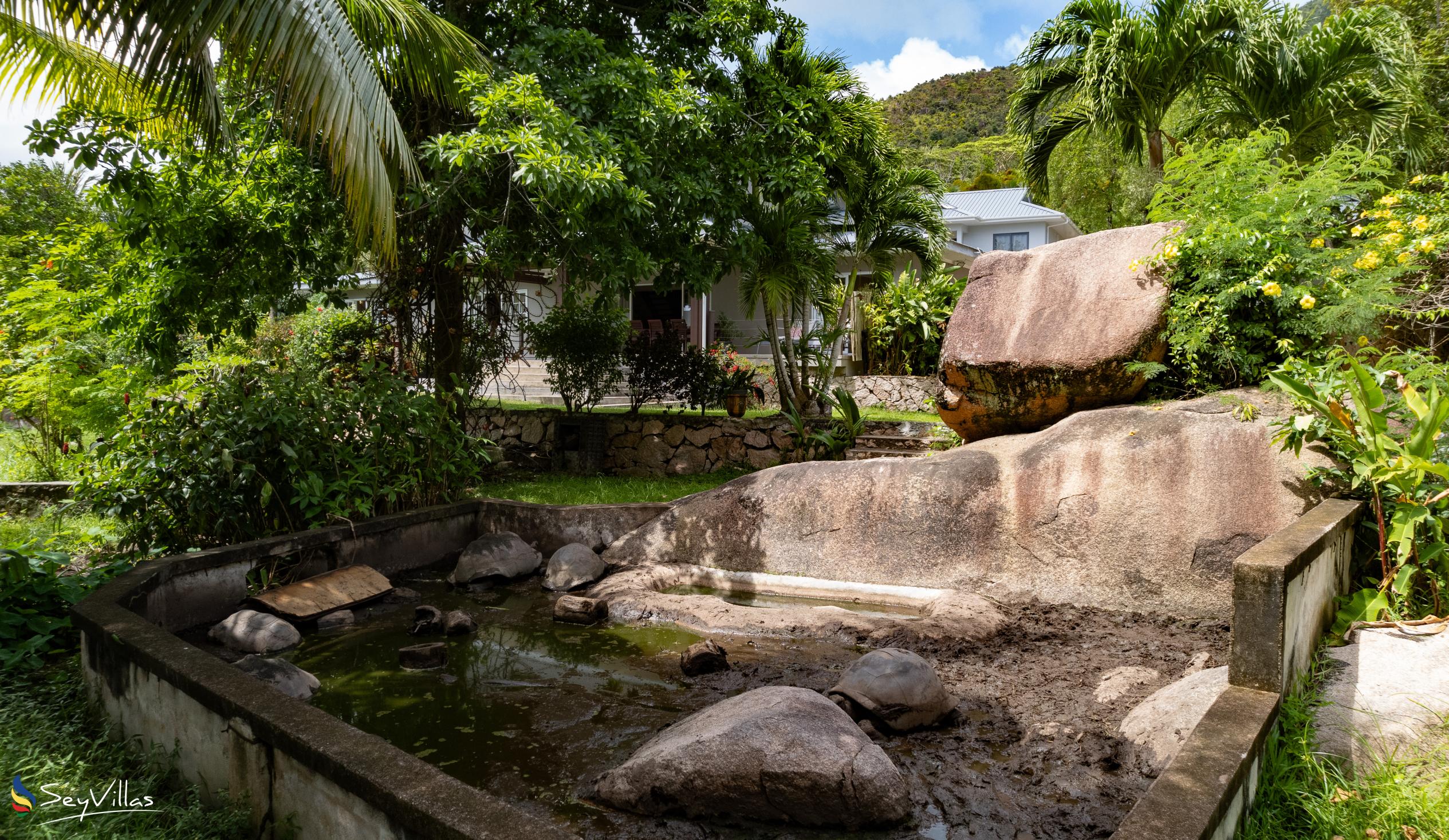 Photo 15: Anse Boudin Chalets & Villa - Outdoor area - Praslin (Seychelles)