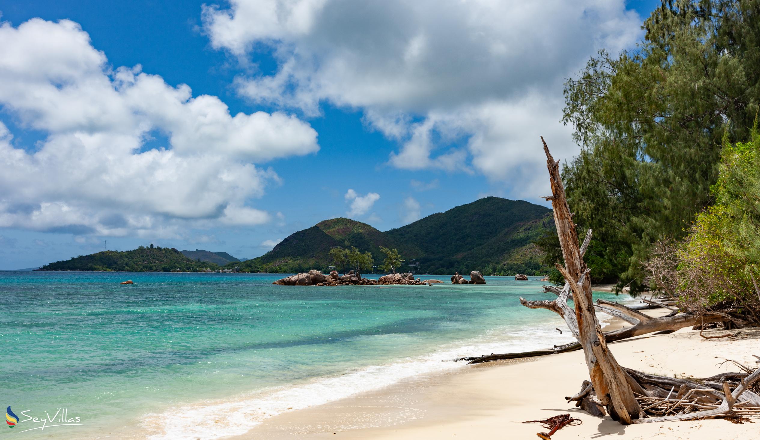 Foto 29: Anse Boudin Chalets & Villa - Posizione - Praslin (Seychelles)