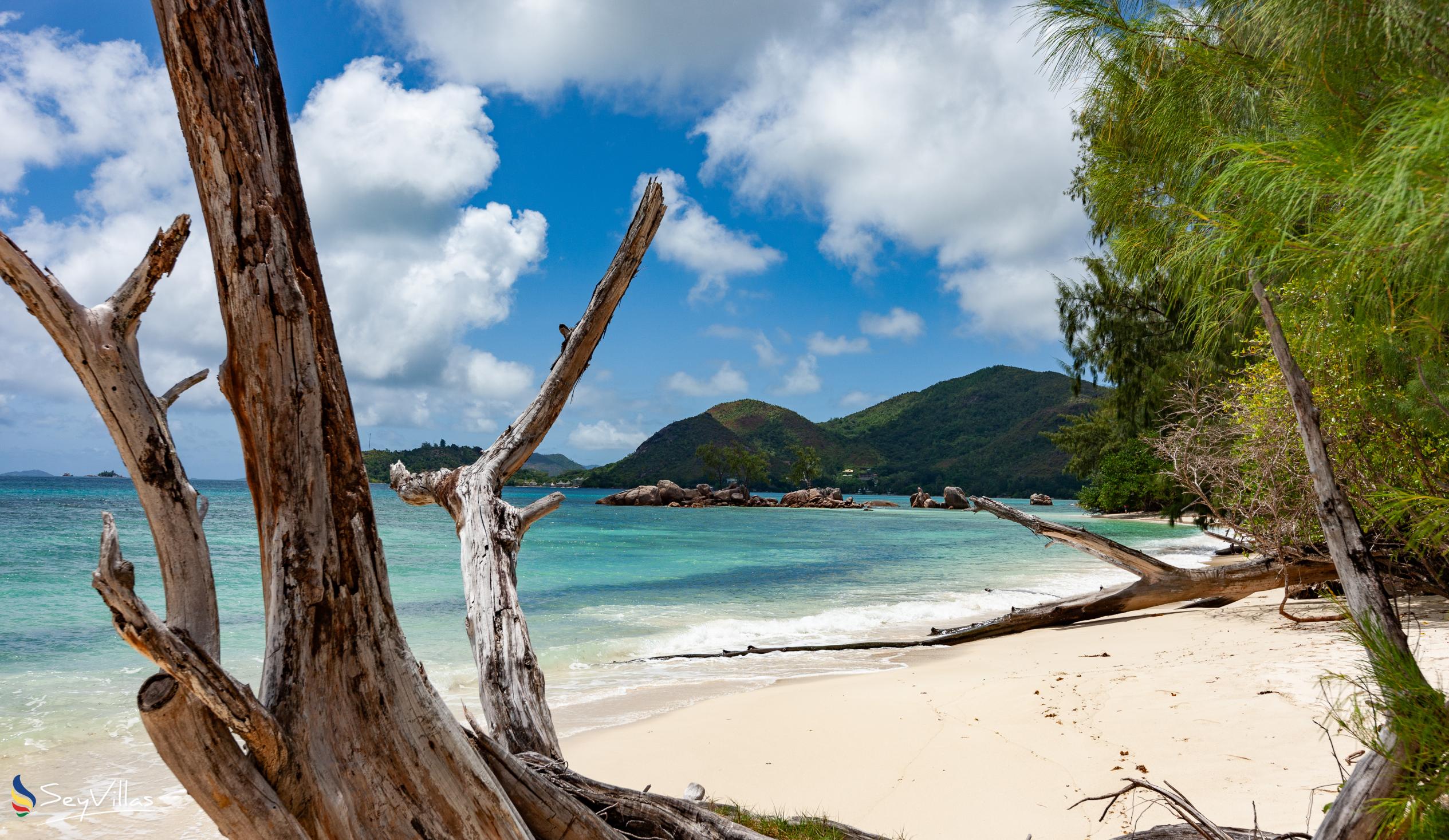 Photo 27: Anse Boudin Chalets & Villa - Location - Praslin (Seychelles)