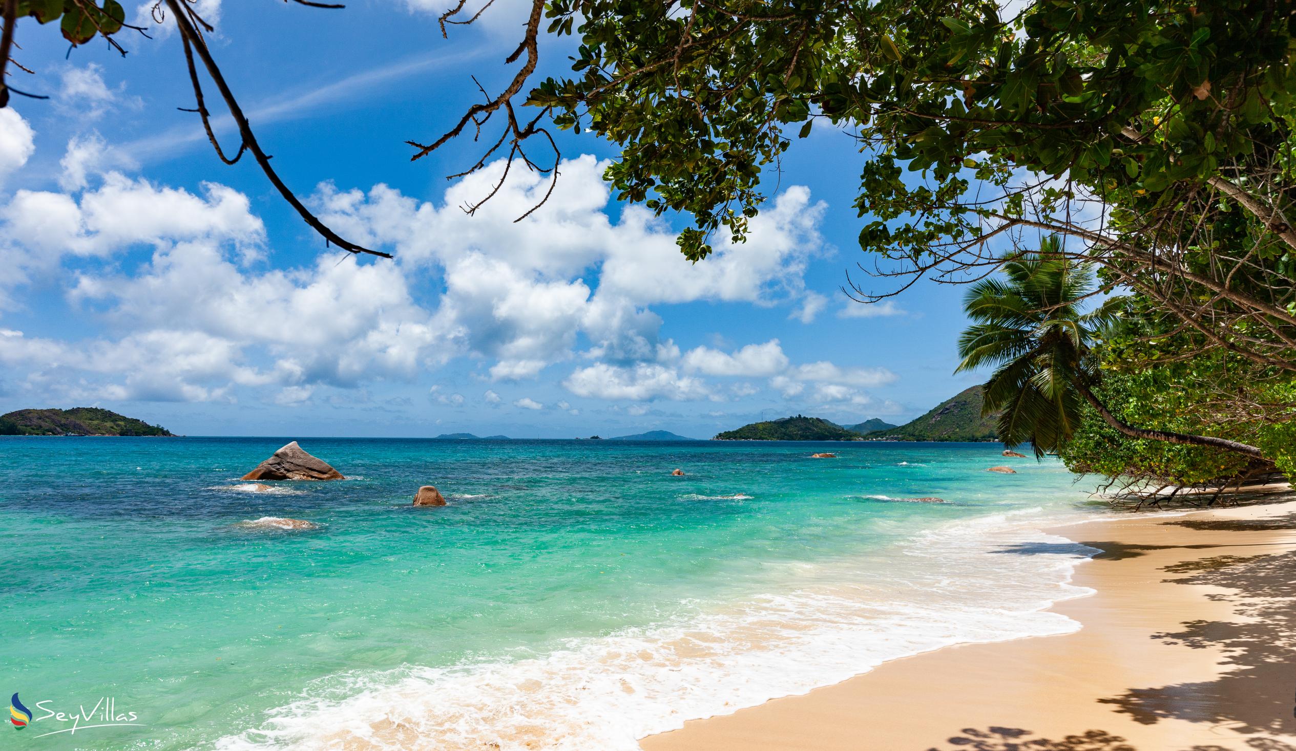 Photo 20: Anse Boudin Chalets & Villa - Location - Praslin (Seychelles)