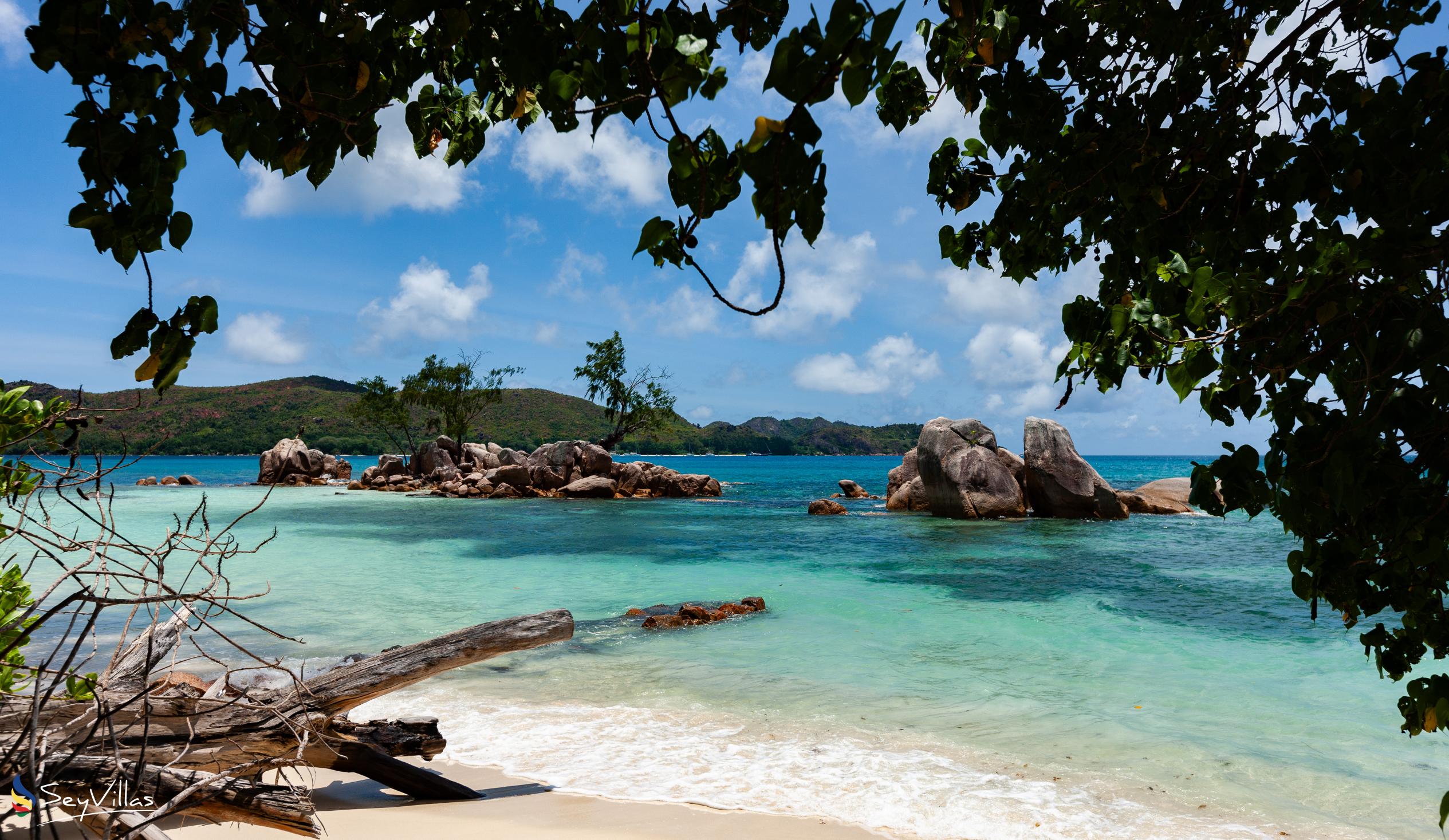 Foto 17: Anse Boudin Chalets & Villa - Location - Praslin (Seychelles)