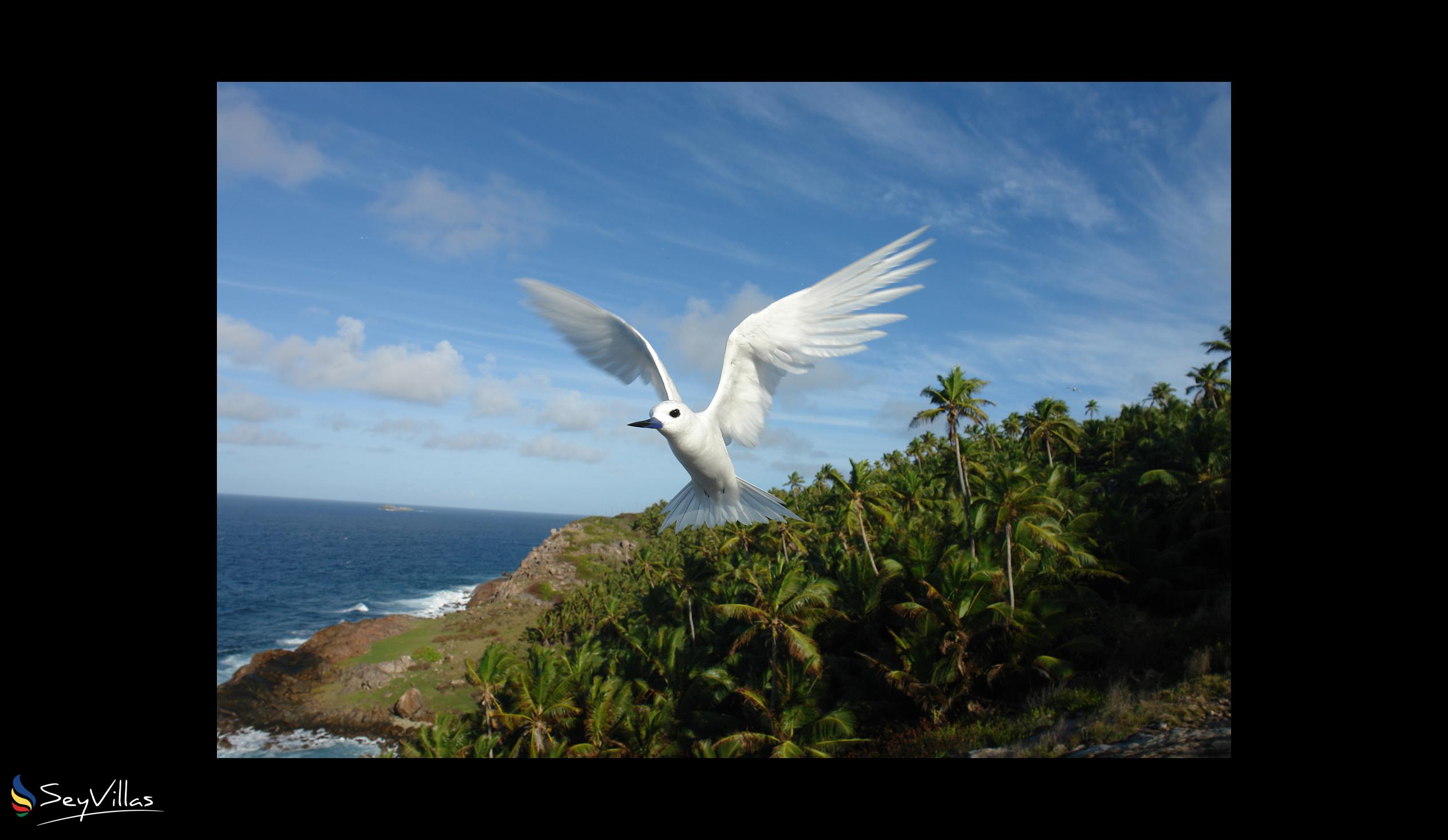 Foto 96: Fregate Island Private - Esterno - Fregate Island (Seychelles)