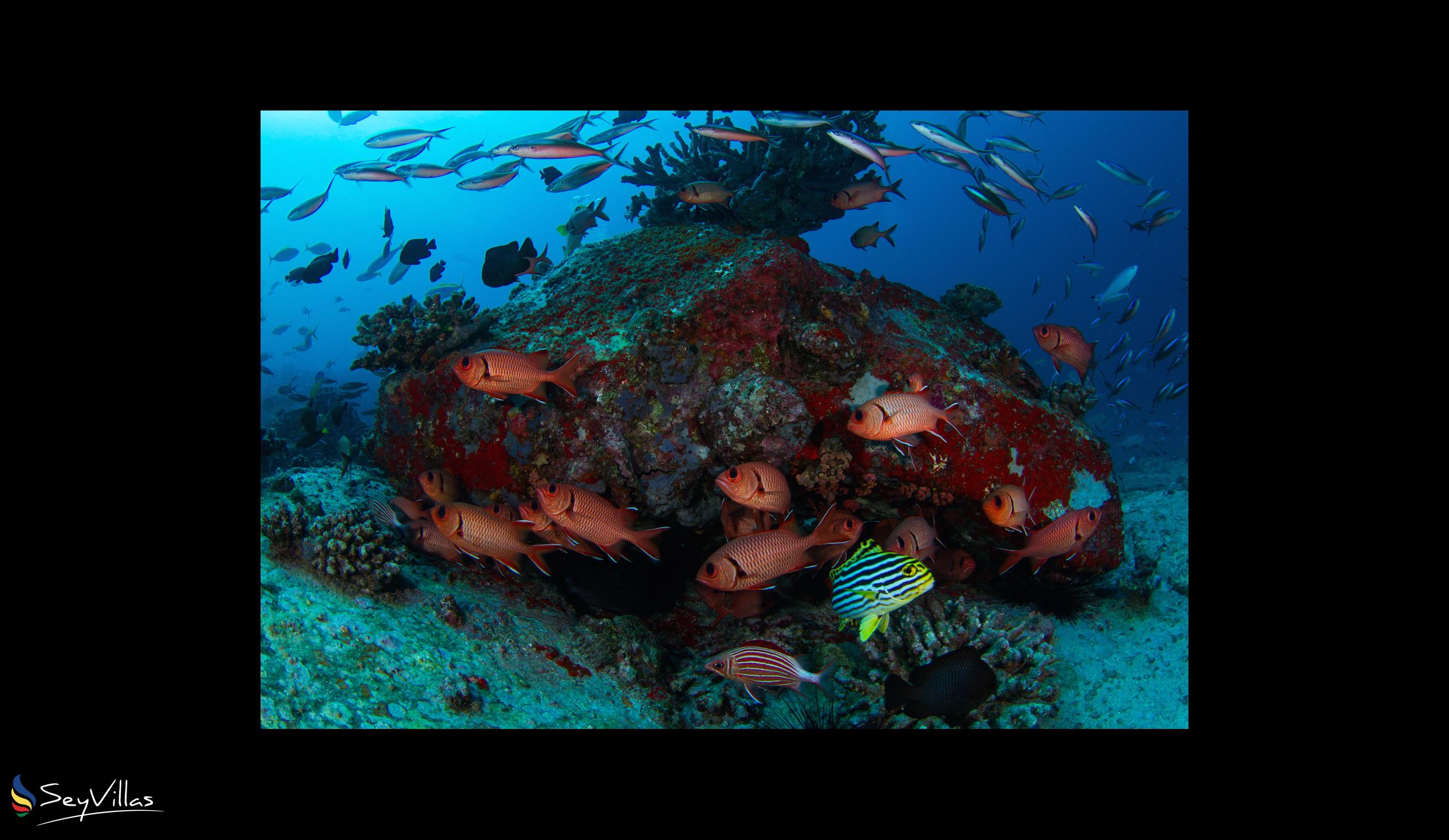 Foto 95: Fregate Island Private - Aussenbereich - Fregate Island (Seychellen)